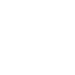 flextronics